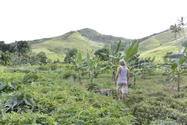 Bay Of Plenty Nature Lodge Nanuya Lailai Luaran gambar