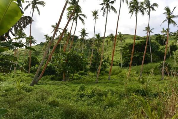 Bay Of Plenty Nature Lodge Nanuya Lailai Luaran gambar