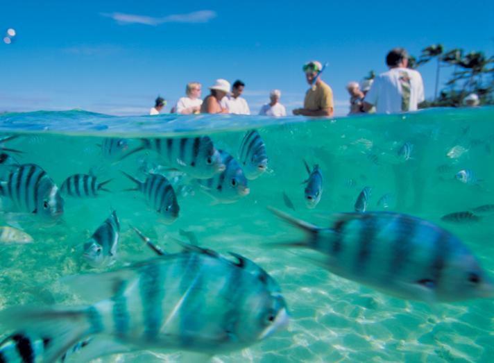 Bay Of Plenty Nature Lodge Nanuya Lailai Luaran gambar